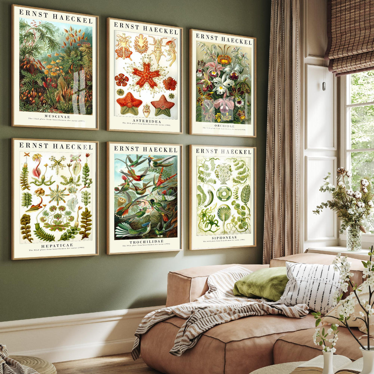 Set of Six Ernst Haeckel Art Prints - 6 Kunstformen der Natur Posters - Moss, Starfish, Orchid, Liverwort, Hummingbird, Algae Illustration