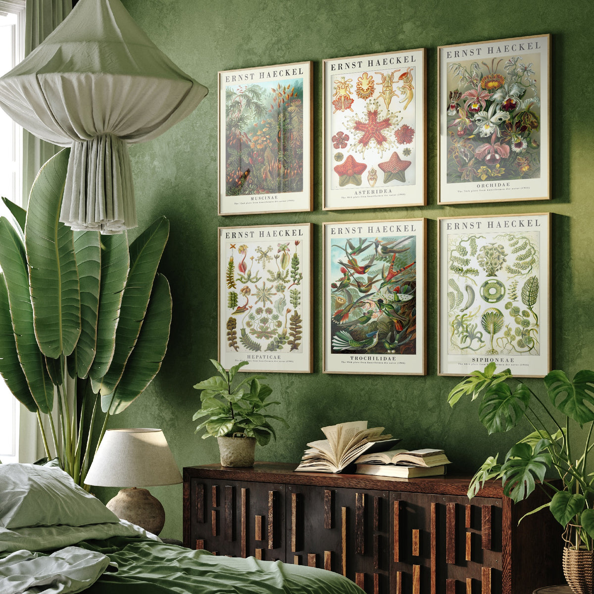 Set of Six Ernst Haeckel Art Prints - 6 Kunstformen der Natur Posters - Moss, Starfish, Orchid, Liverwort, Hummingbird, Algae Illustration