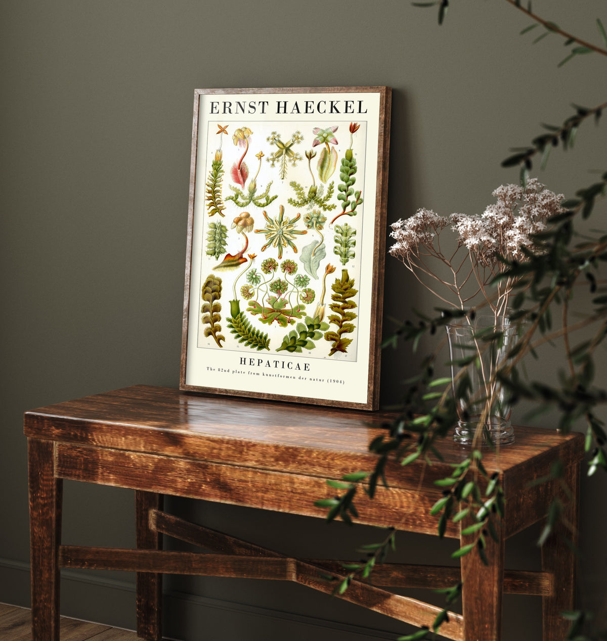 Liverworts Art Print - Ernst Haeckel Poster - Hepaticae Plate 82 - Art Forms in Nature Vintage Illustration