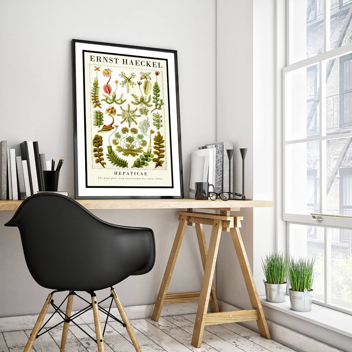 Liverworts Art Print - Ernst Haeckel Poster - Hepaticae Plate 82 - Art Forms in Nature Vintage Illustration