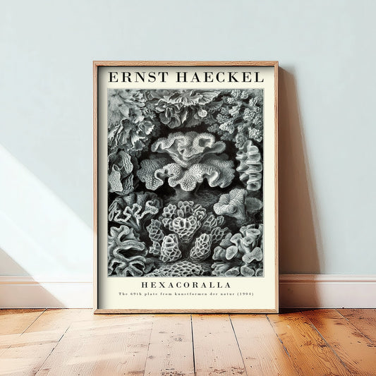 Corals Art Print - Ernst Haeckel Poster - Hexacoralla Plate 69 - Art Forms in Nature Vintage Illustration