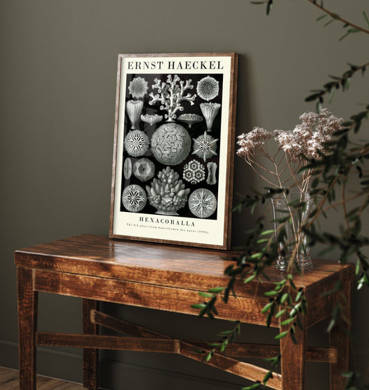 Stony Corals Art Print - Ernst Haeckel Poster - Hexacoralla Plate 9 - Art Forms in Nature Vintage Illustration