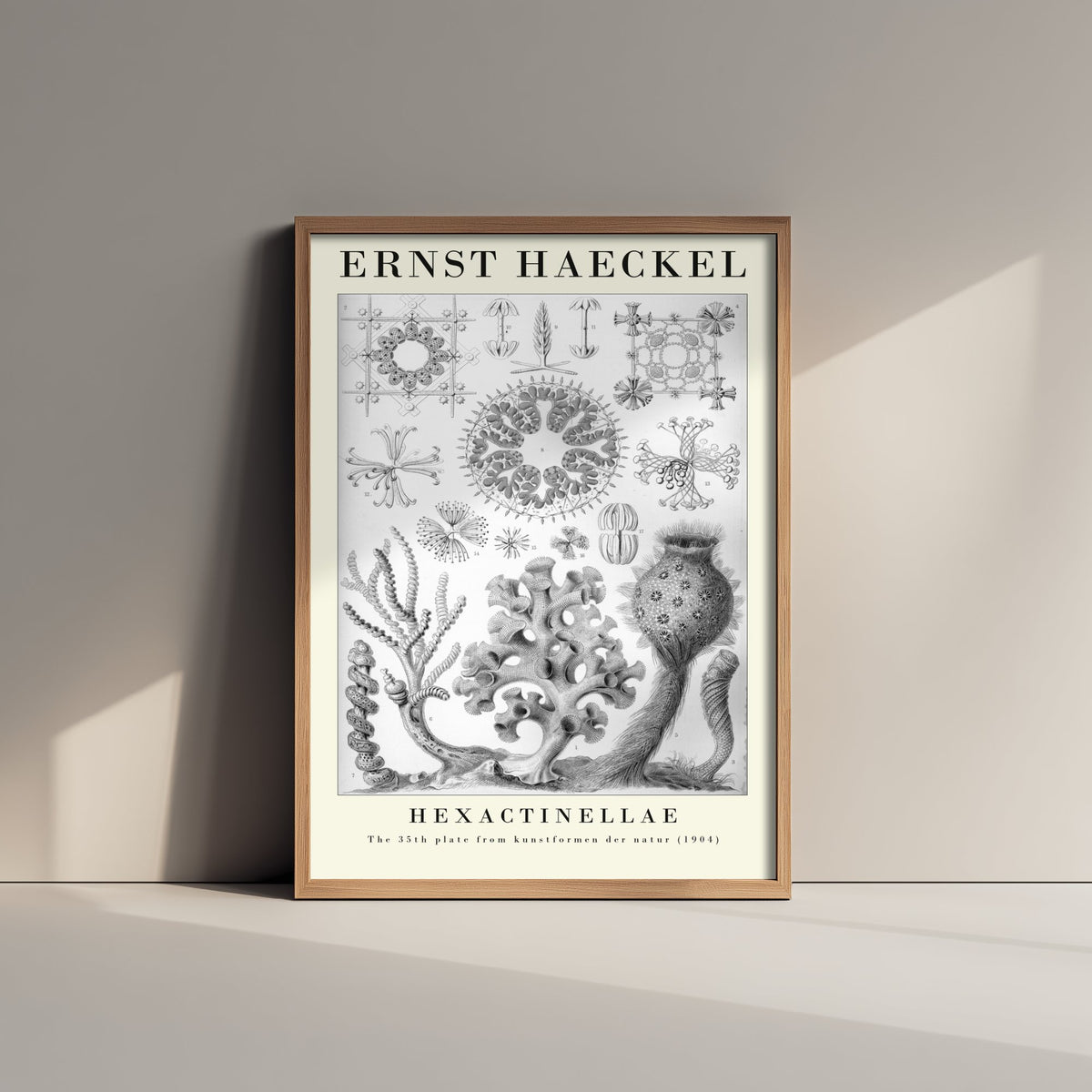 Glass Sponges Art Print - Ernst Haeckel Poster - Hexactinellae Plate 35 - Art Forms in Nature Vintage Illustration