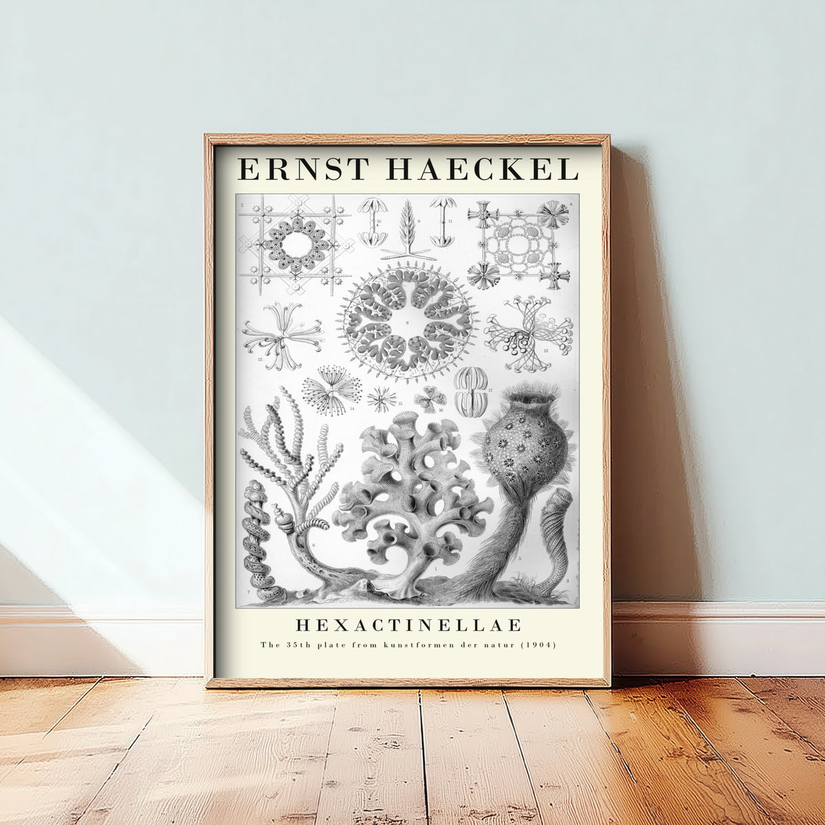 Glass Sponges Art Print - Ernst Haeckel Poster - Hexactinellae Plate 35 - Art Forms in Nature Vintage Illustration