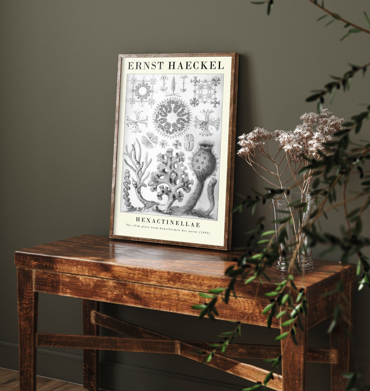 Glass Sponges Art Print - Ernst Haeckel Poster - Hexactinellae Plate 35 - Art Forms in Nature Vintage Illustration