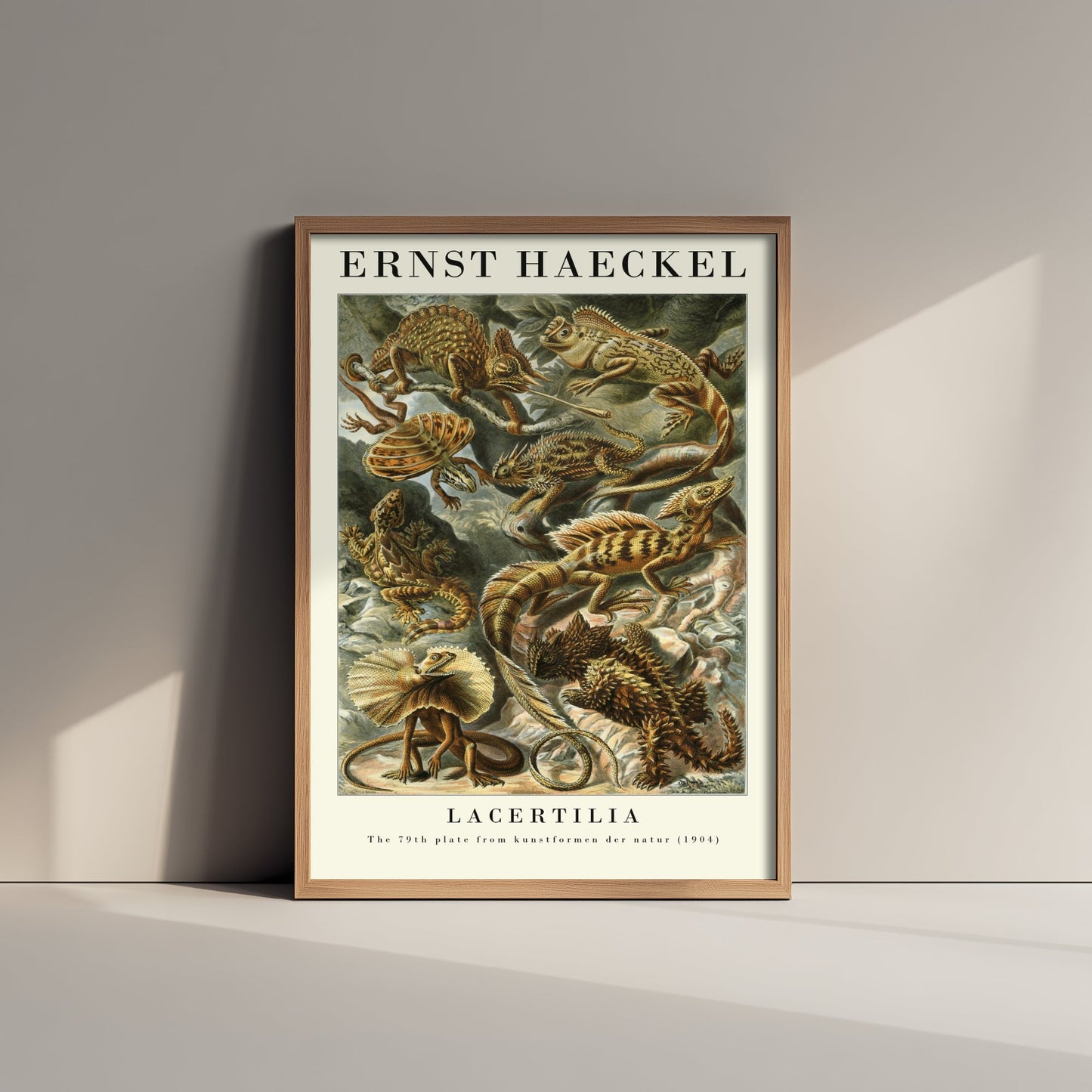 Lizards Art Print - Ernst Haeckel Poster - Lacertilia Plate 79 - Art Forms in Nature Vintage Illustration