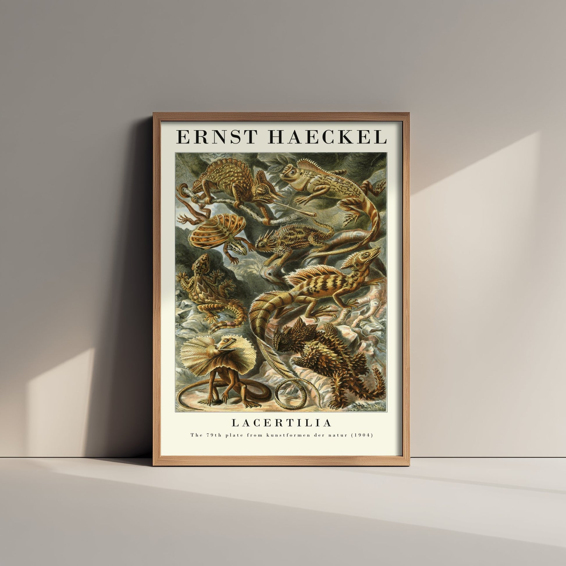 Lizards Art Print - Ernst Haeckel Poster - Lacertilia Plate 79 - Art Forms in Nature Vintage Illustration
