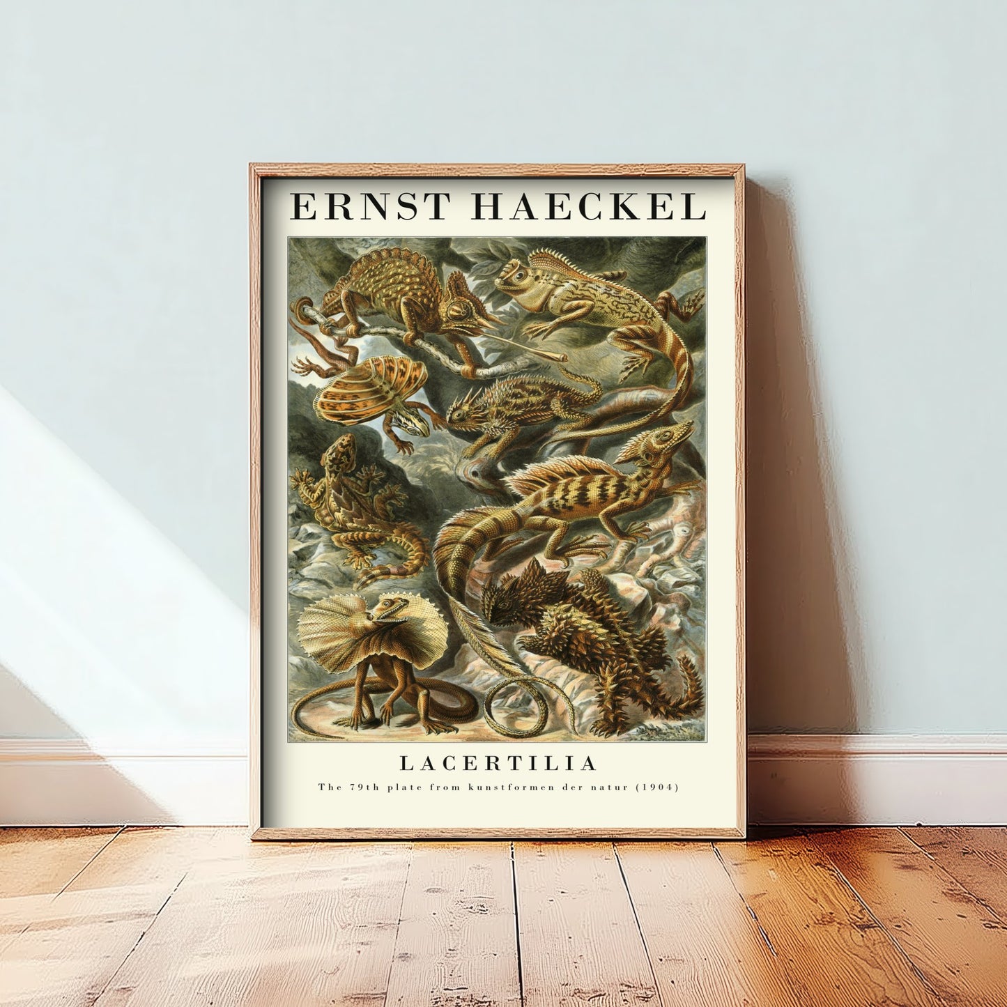 Lizards Art Print - Ernst Haeckel Poster - Lacertilia Plate 79 - Art Forms in Nature Vintage Illustration