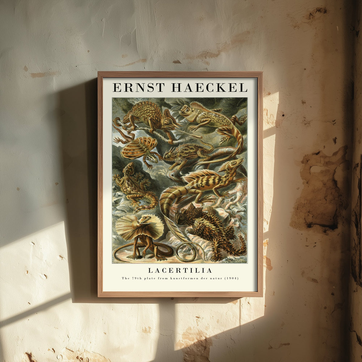 Lizards Art Print - Ernst Haeckel Poster - Lacertilia Plate 79 - Art Forms in Nature Vintage Illustration