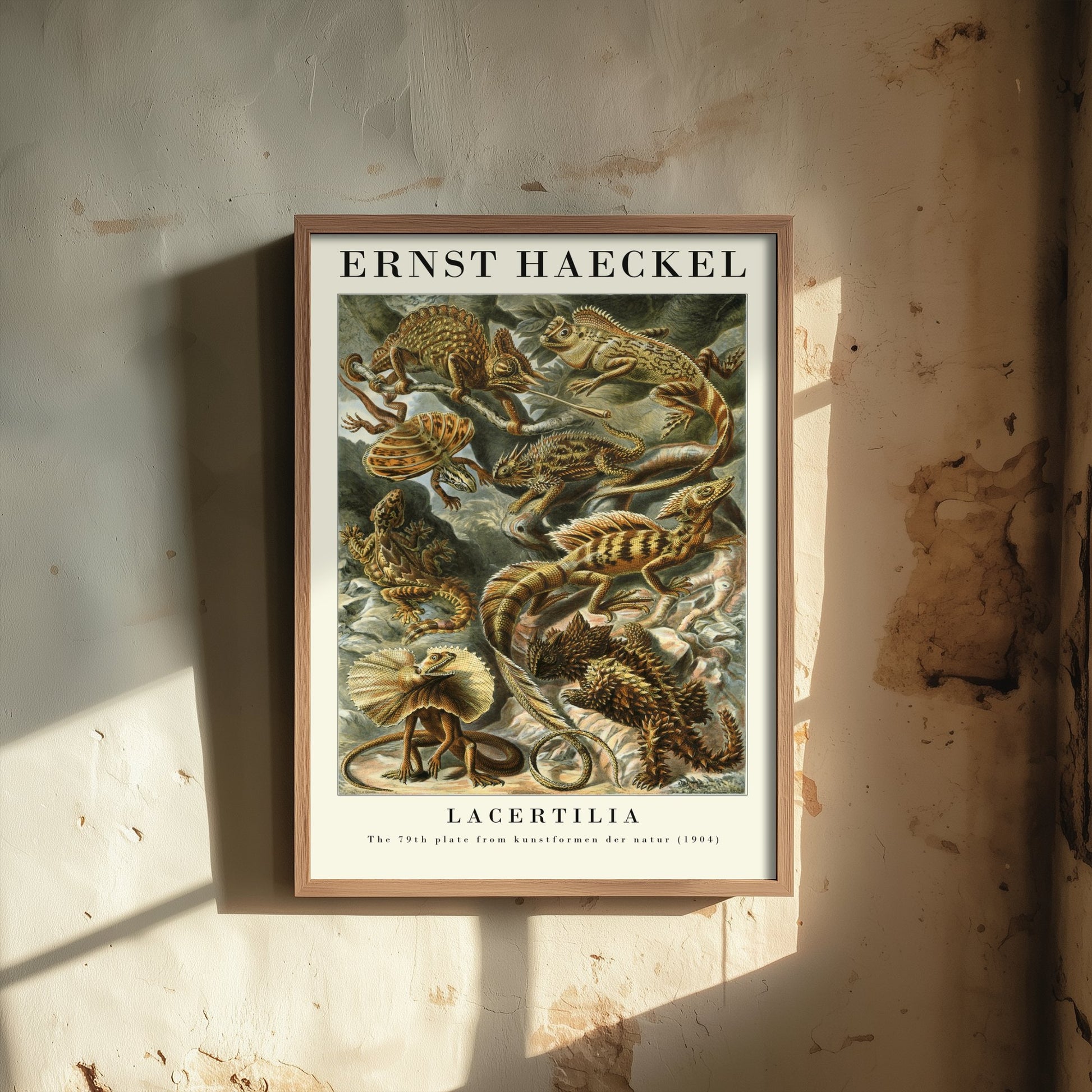 Lizards Art Print - Ernst Haeckel Poster - Lacertilia Plate 79 - Art Forms in Nature Vintage Illustration