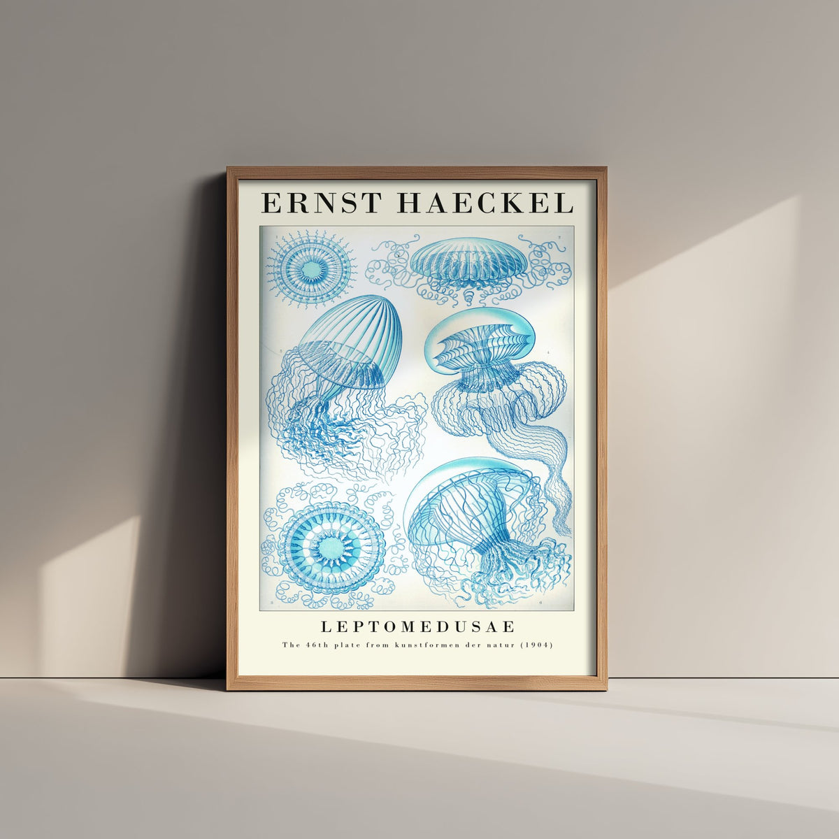 Jellyfish Art Print - Ernst Haeckel Poster - Leptomedusae Plate 46 - Art Forms in Nature Vintage Illustration