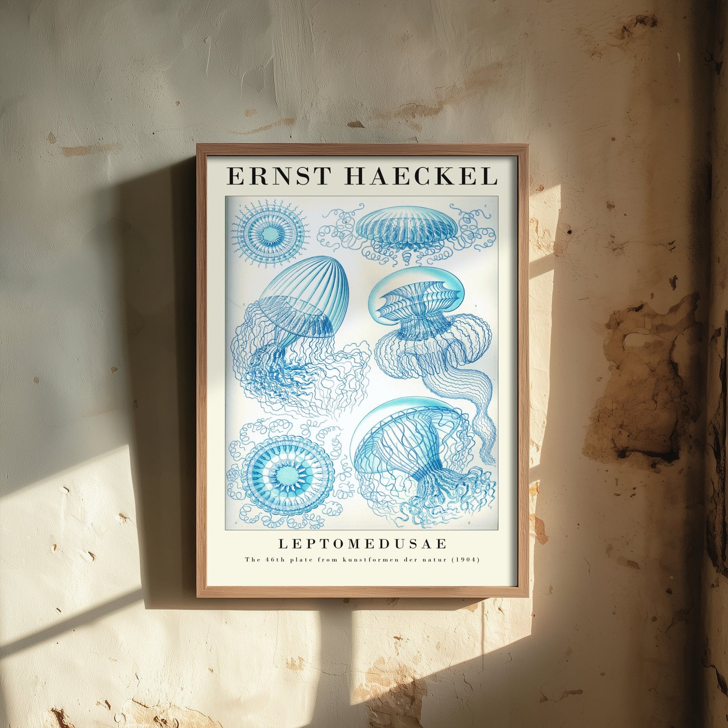 Jellyfish Art Print - Ernst Haeckel Poster - Leptomedusae Plate 46 - Art Forms in Nature Vintage Illustration