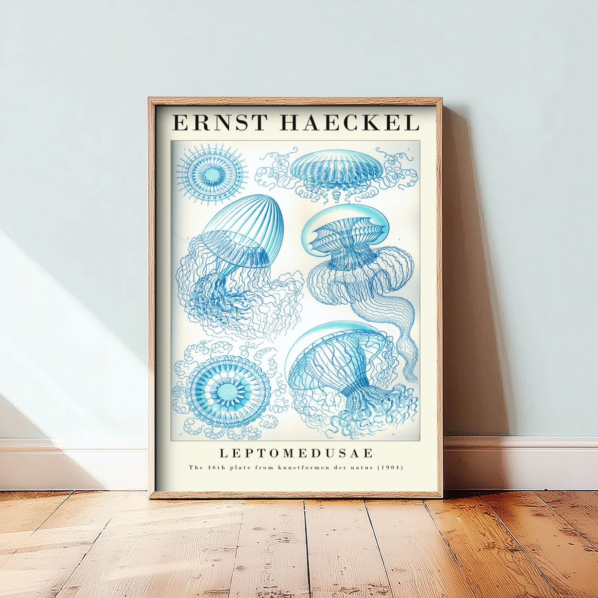 Jellyfish Art Print - Ernst Haeckel Poster - Leptomedusae Plate 46 - Art Forms in Nature Vintage Illustration