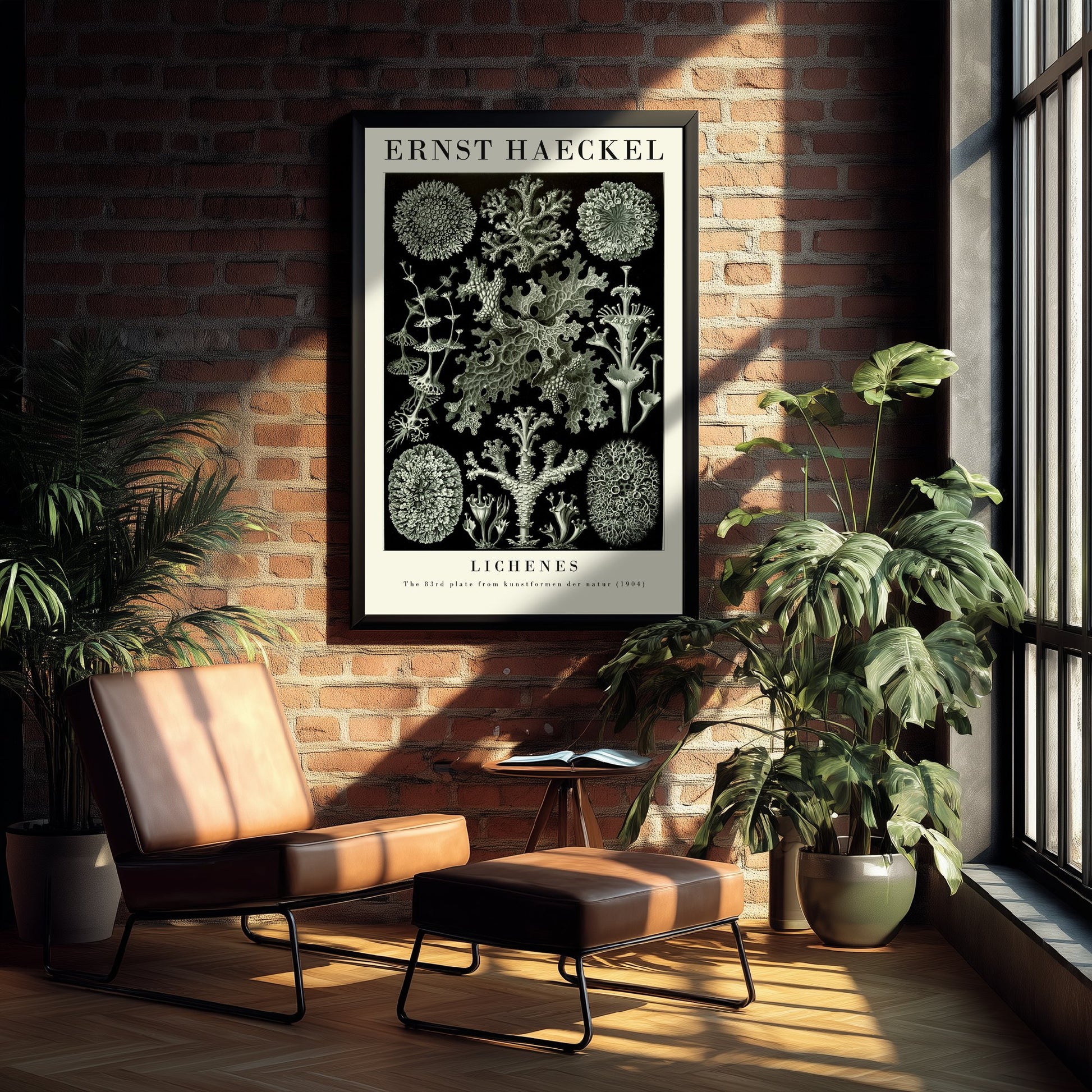 Lichens Art Print - Ernst Haeckel Poster - Lichenes Plate 83 - Art Forms in Nature Vintage Illustration