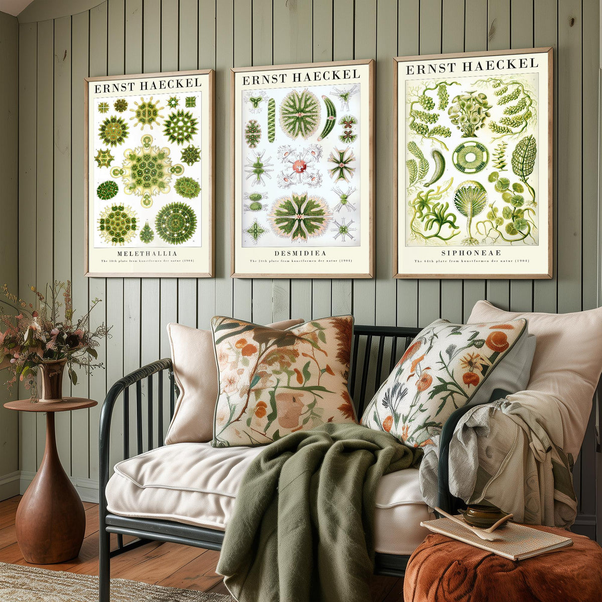 Ernst Haeckel Set of Three Gallery Art Prints - 3 Algae Desmid Seaweed Posters - Vintage Botanical Nature Illustration