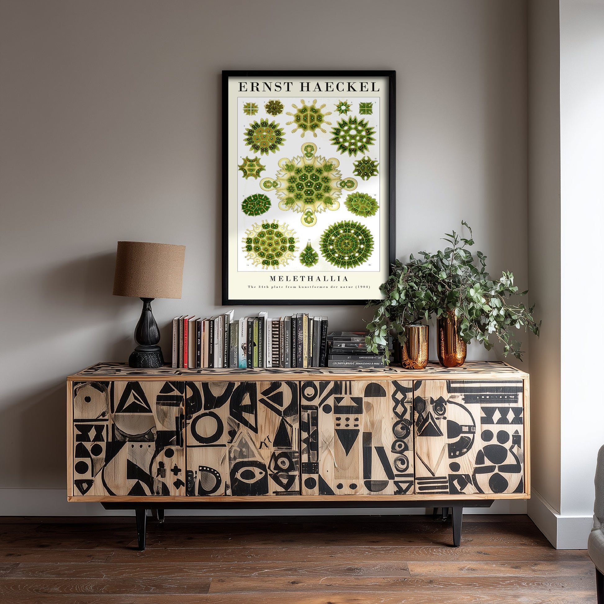 Algae Art Print - Ernst Haeckel Poster - Melethallia Plate 34 - Art Forms in Nature Vintage Illustration