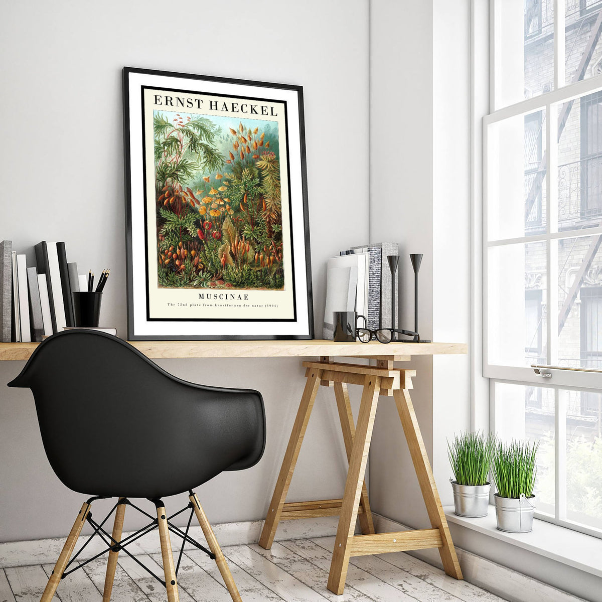 Mosses Art Print - Ernst Haeckel Poster - Muscinae Plate 72 - Art Forms in Nature Vintage Illustration