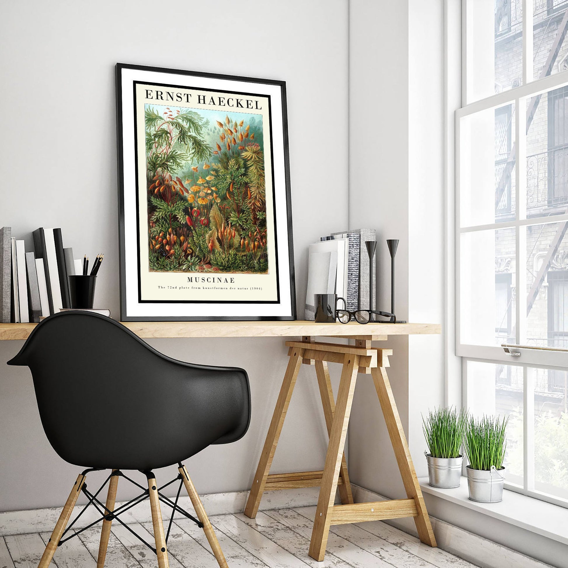 Mosses Art Print - Ernst Haeckel Poster - Muscinae Plate 72 - Art Forms in Nature Vintage Illustration