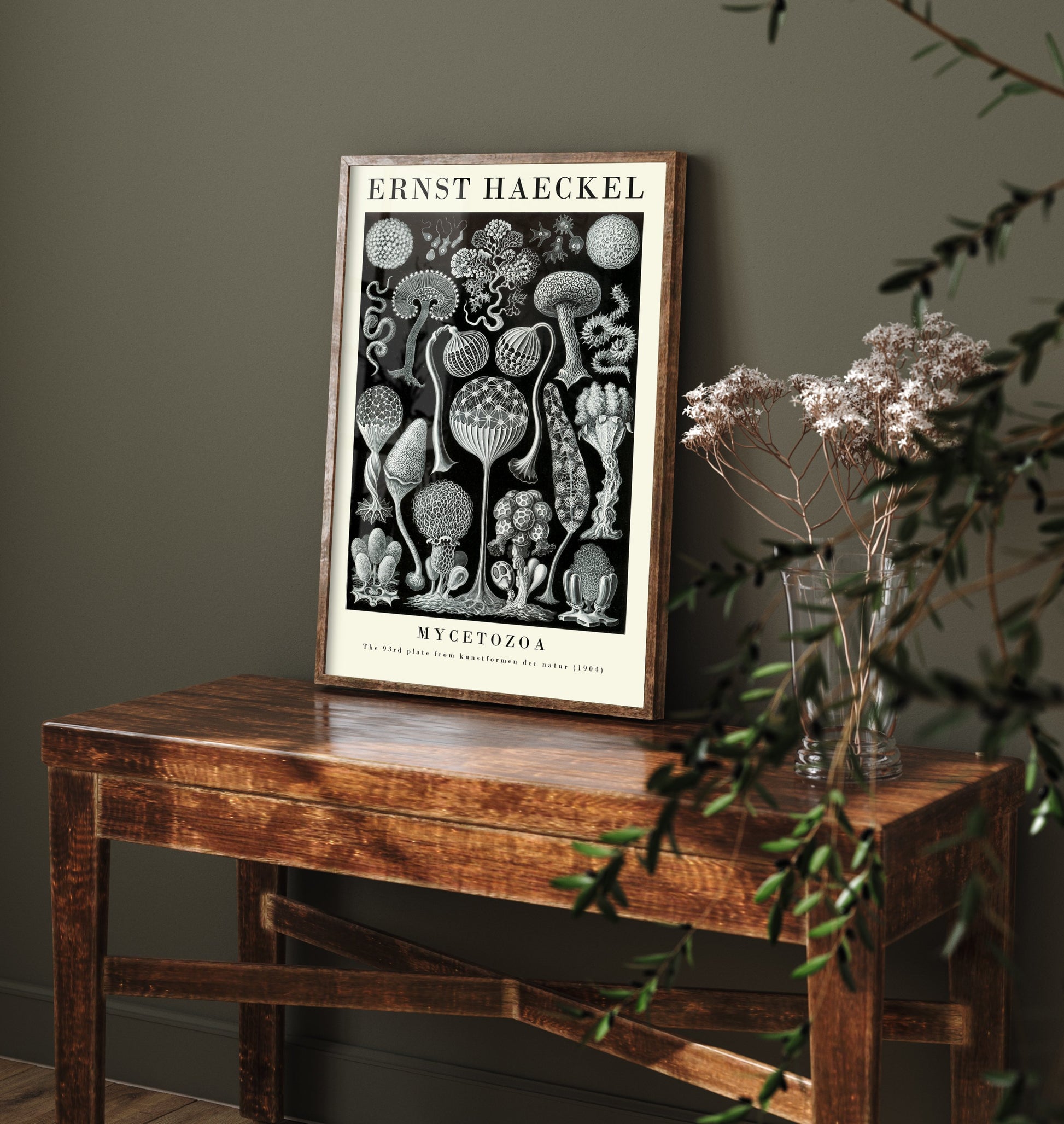 Slime Moulds Art Print - Ernst Haeckel Poster - Mycetozoa Plate 93 - Art Forms in Nature Vintage Illustration