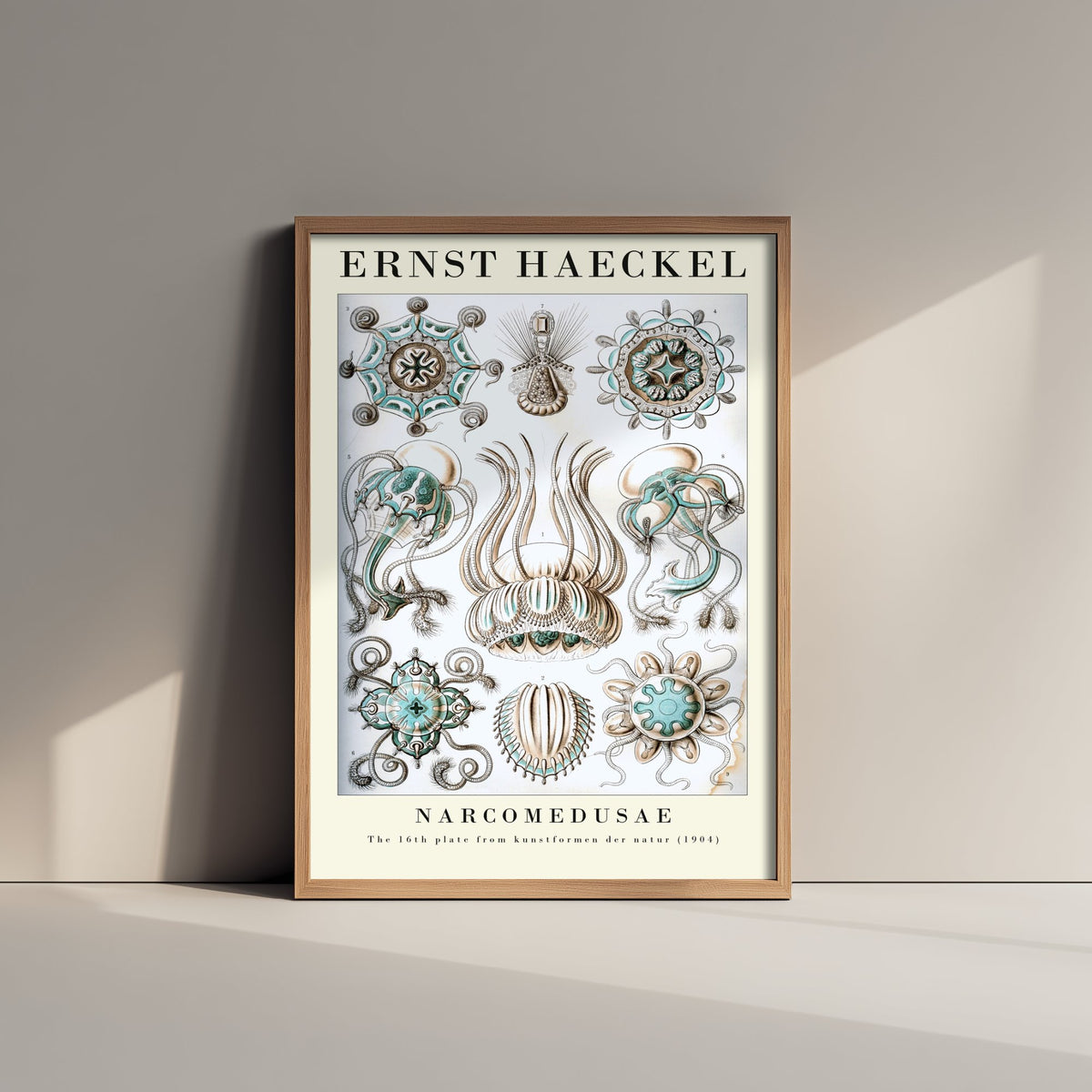 Jellyfish Art Print - Ernst Haeckel Poster - Narcomedusae Plate 16 - Art Forms in Nature Vintage Illustration