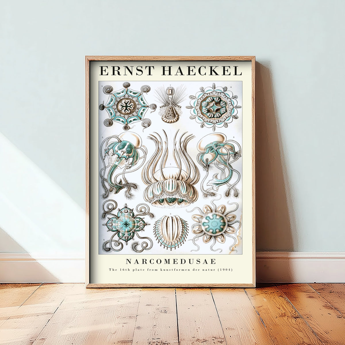 Jellyfish Art Print - Ernst Haeckel Poster - Narcomedusae Plate 16 - Art Forms in Nature Vintage Illustration