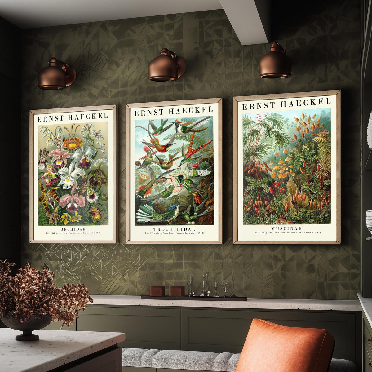 Ernst Haeckel Set of Three Art Prints - 3 Orchid Hummingbird Moss Posters - Vintage Natural History Wall Art Gift Illustration