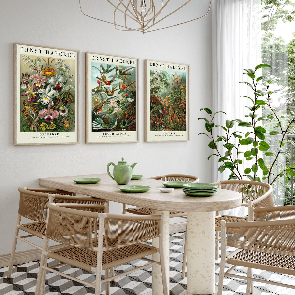 Ernst Haeckel Set of Three Art Prints - 3 Orchid Hummingbird Moss Posters - Vintage Natural History Wall Art Gift Illustration