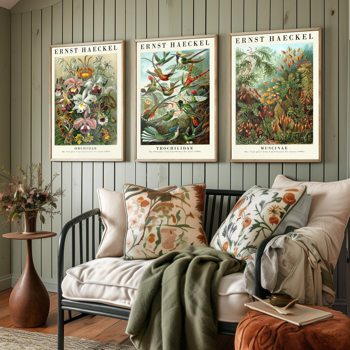 Ernst Haeckel Set of Three Art Prints - 3 Orchid Hummingbird Moss Posters - Vintage Natural History Wall Art Gift Illustration