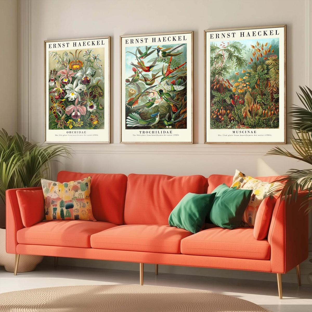 Ernst Haeckel Set of Three Art Prints - 3 Orchid Hummingbird Moss Posters - Vintage Natural History Wall Art Gift Illustration
