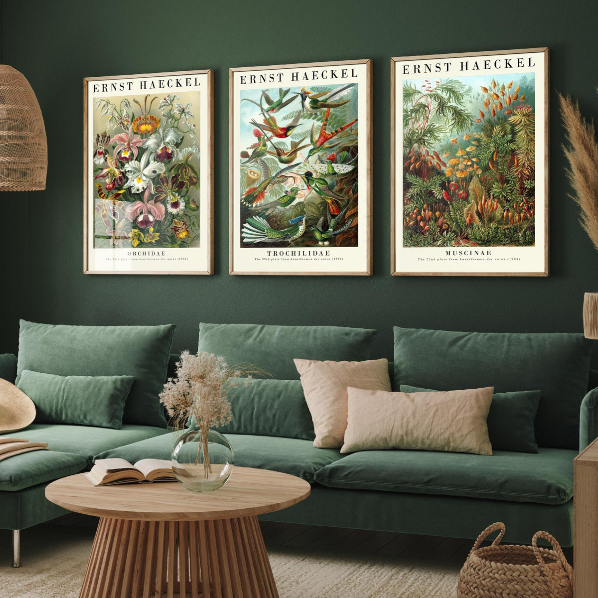 Ernst Haeckel Set of Three Art Prints - 3 Orchid Hummingbird Moss Posters - Vintage Natural History Wall Art Gift Illustration