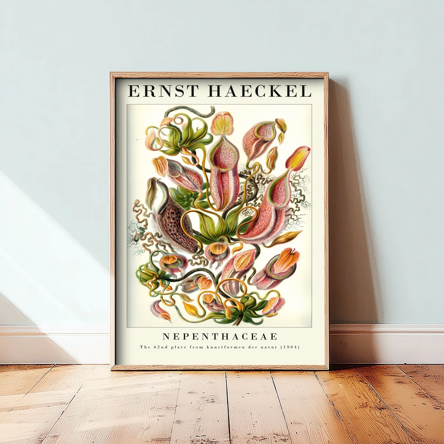 Pitcher Plants Art Print - Ernst Haeckel Poster - Nepenthaceae Plate 62 - Art Forms in Nature Vintage Illustration