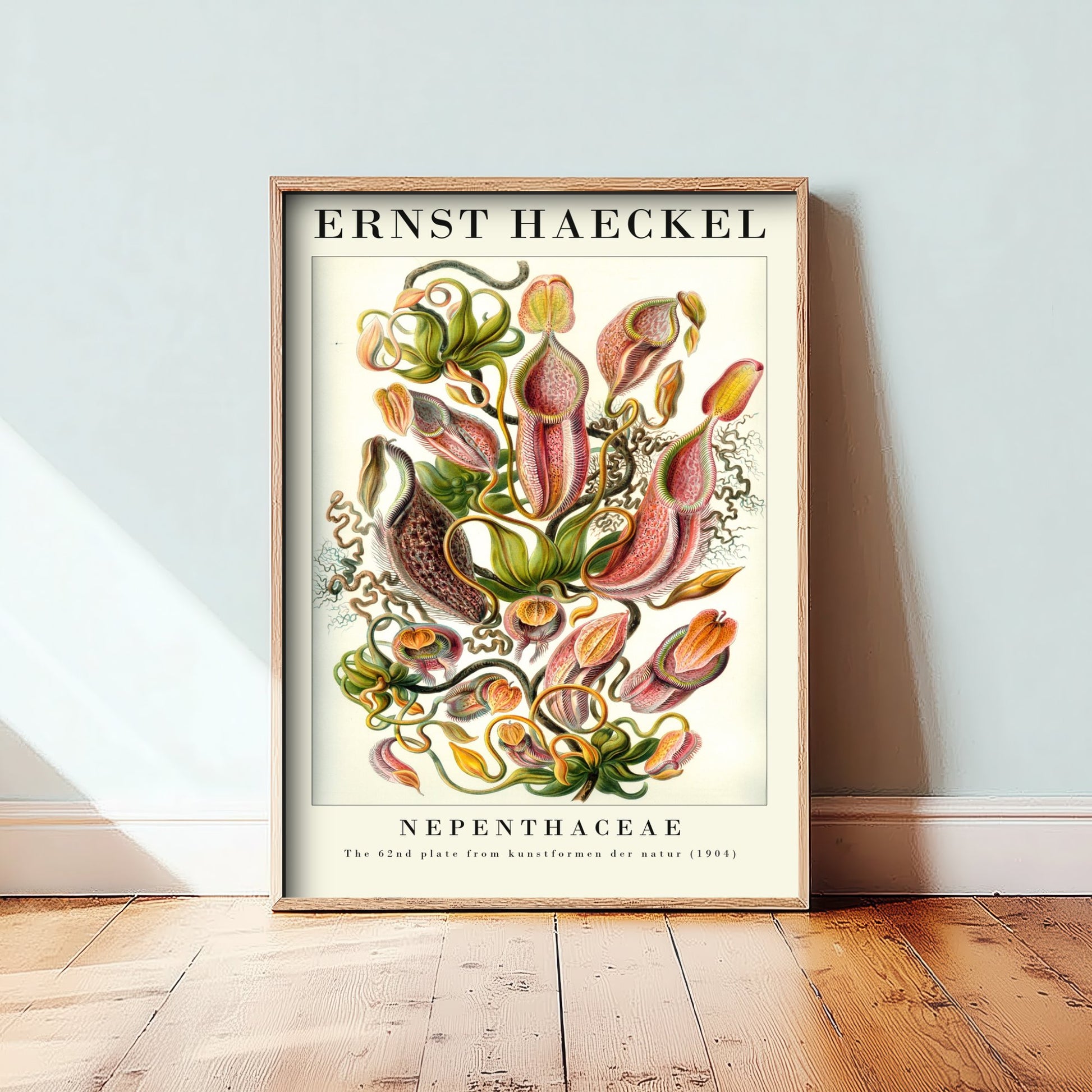 Pitcher Plants Art Print - Ernst Haeckel Poster - Nepenthaceae Plate 62 - Art Forms in Nature Vintage Illustration