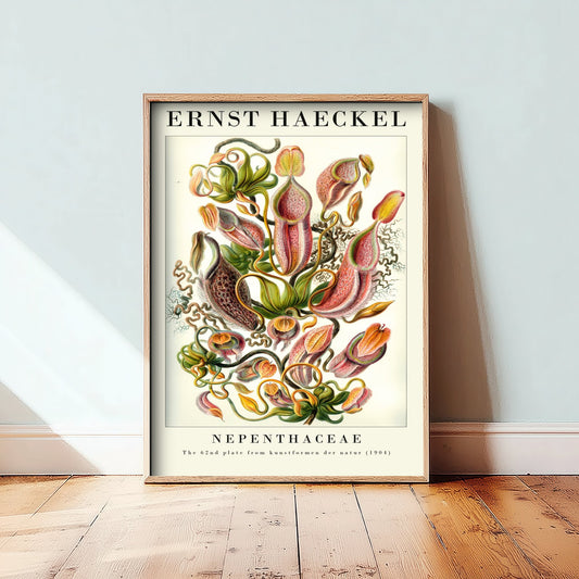 Pitcher Plants Art Print - Ernst Haeckel Poster - Nepenthaceae Plate 62 - Art Forms in Nature Vintage Illustration