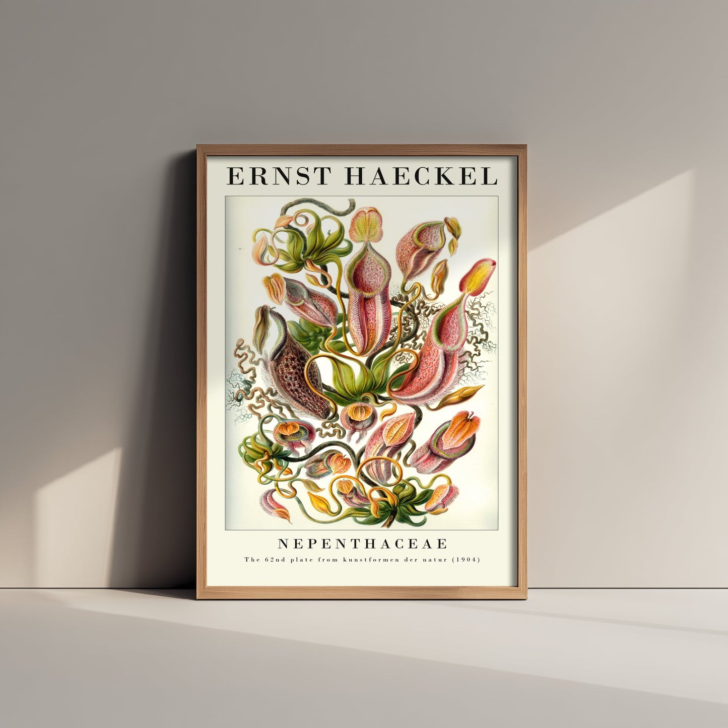 Pitcher Plants Art Print - Ernst Haeckel Poster - Nepenthaceae Plate 62 - Art Forms in Nature Vintage Illustration