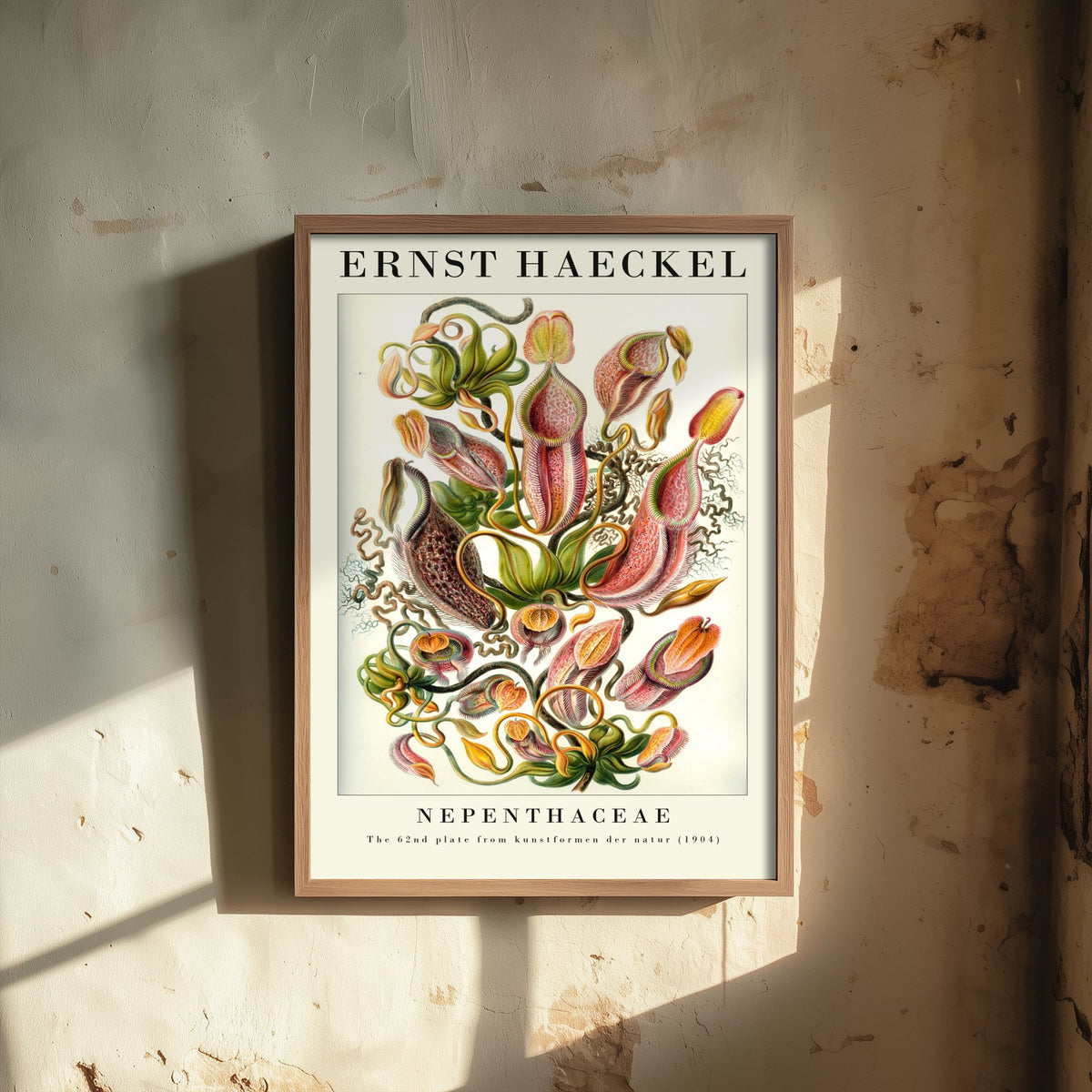 Pitcher Plants Art Print - Ernst Haeckel Poster - Nepenthaceae Plate 62 - Art Forms in Nature Vintage Illustration