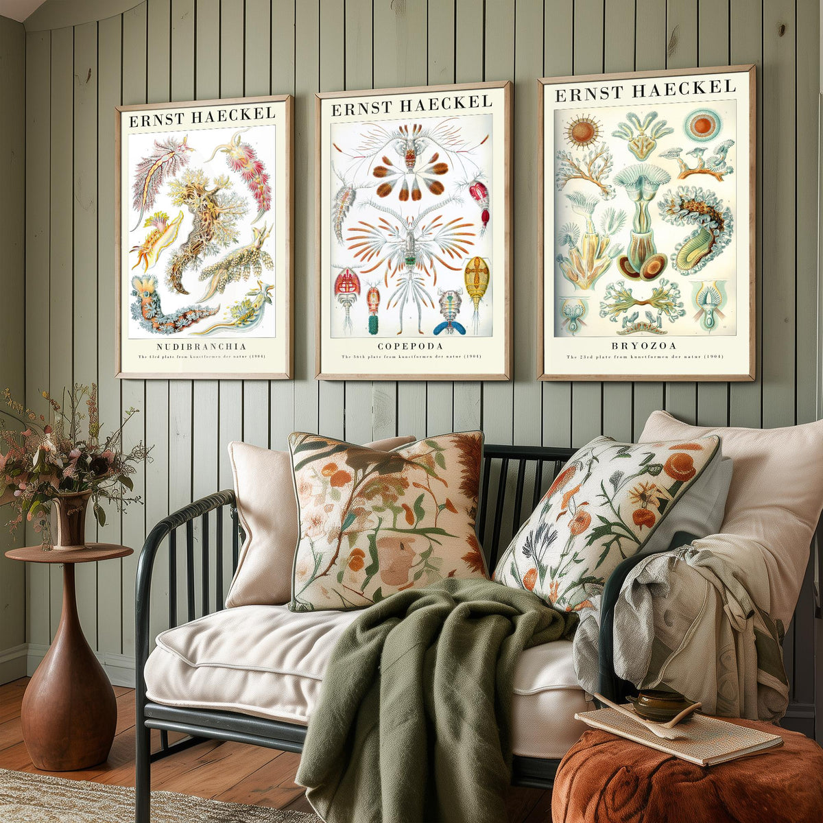 Ernst Haeckel Set of Three Gallery Art Prints - 3 Sea Slug Copepod Bryozoan Posters - Vintage Nudibranch Ocean Illustration