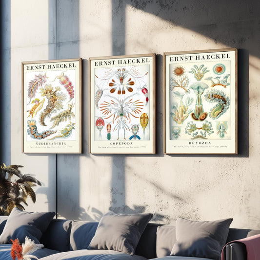 Ernst Haeckel Set of Three Gallery Art Prints - 3 Sea Slug Copepod Bryozoan Posters - Vintage Nudibranch Ocean Illustration