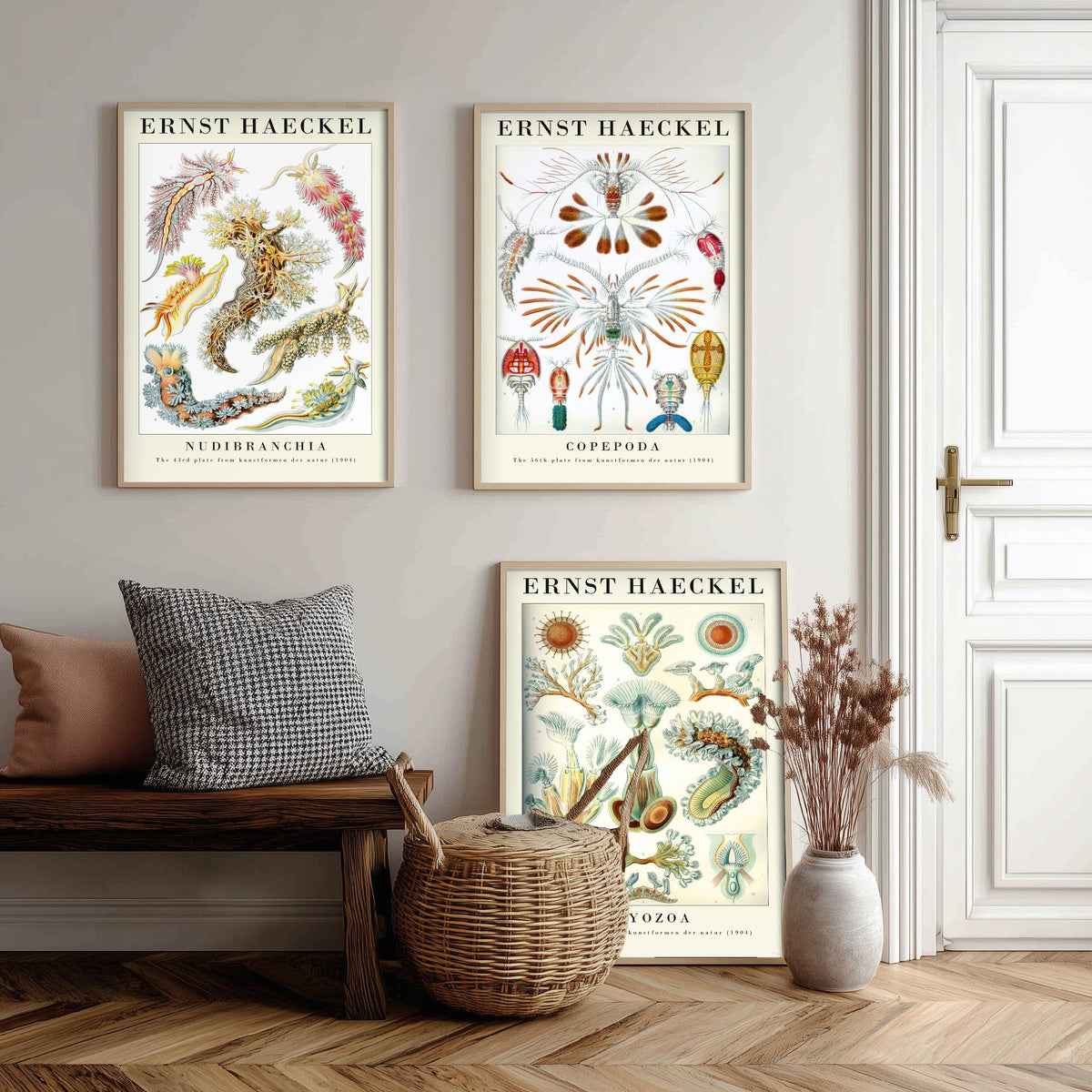 Ernst Haeckel Set of Three Gallery Art Prints - 3 Sea Slug Copepod Bryozoan Posters - Vintage Nudibranch Ocean Illustration
