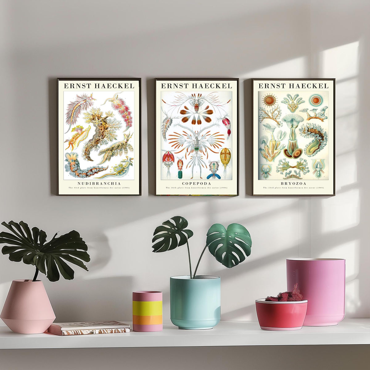 Ernst Haeckel Set of Three Gallery Art Prints - 3 Sea Slug Copepod Bryozoan Posters - Vintage Nudibranch Ocean Illustration