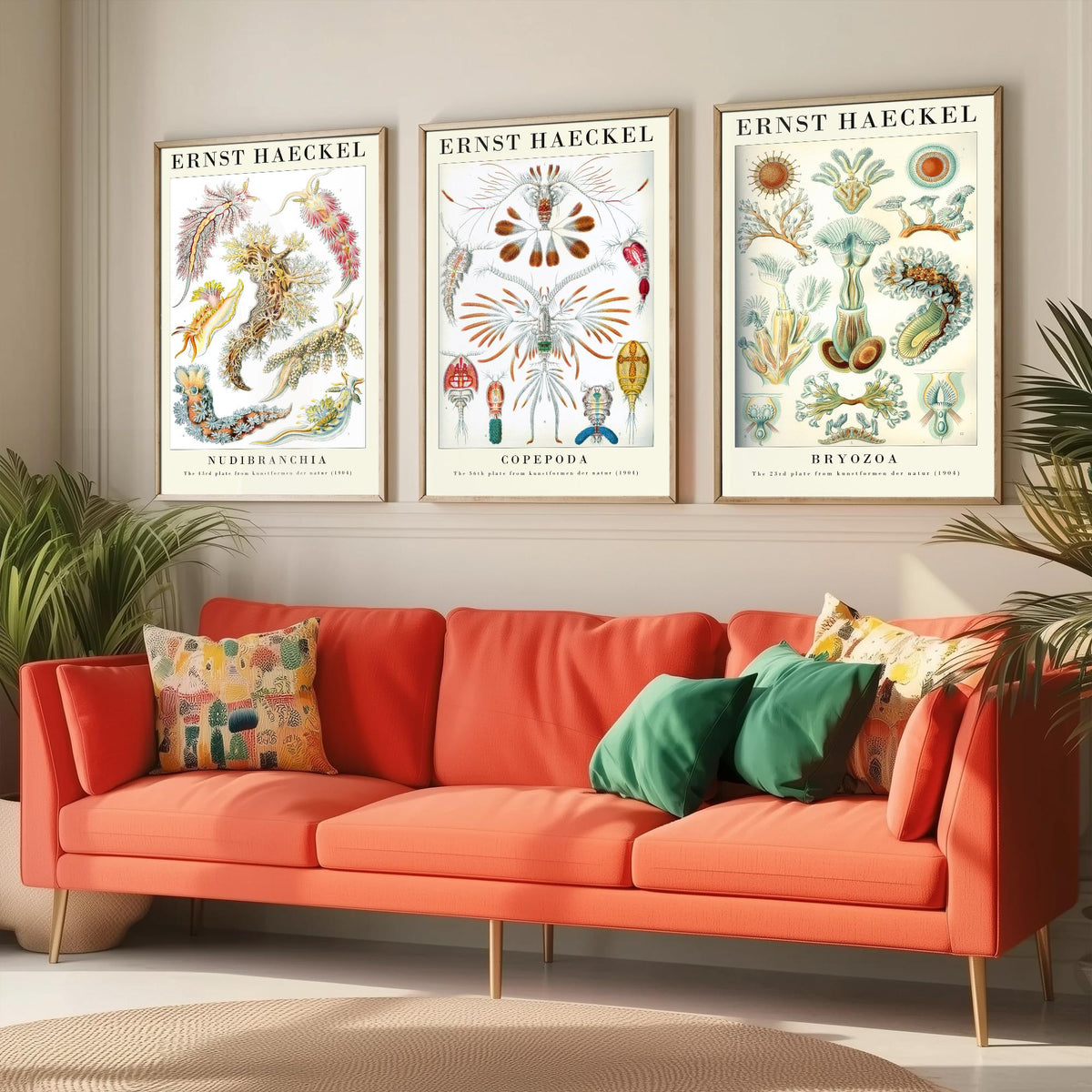 Ernst Haeckel Set of Three Gallery Art Prints - 3 Sea Slug Copepod Bryozoan Posters - Vintage Nudibranch Ocean Illustration
