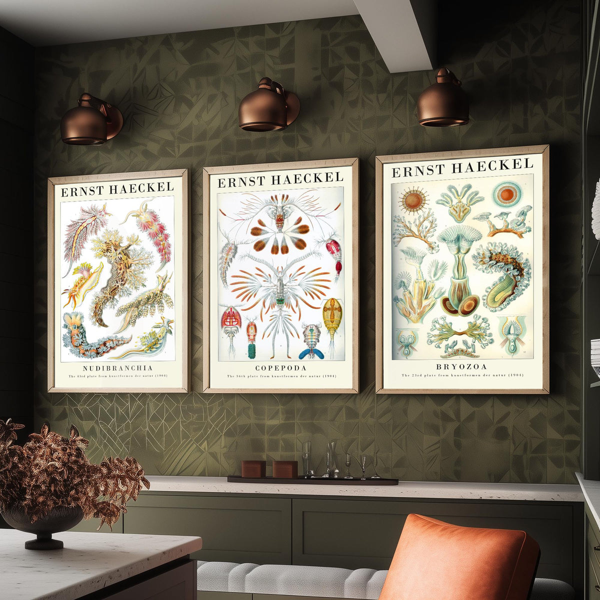Ernst Haeckel Set of Three Gallery Art Prints - 3 Sea Slug Copepod Bryozoan Posters - Vintage Nudibranch Ocean Illustration