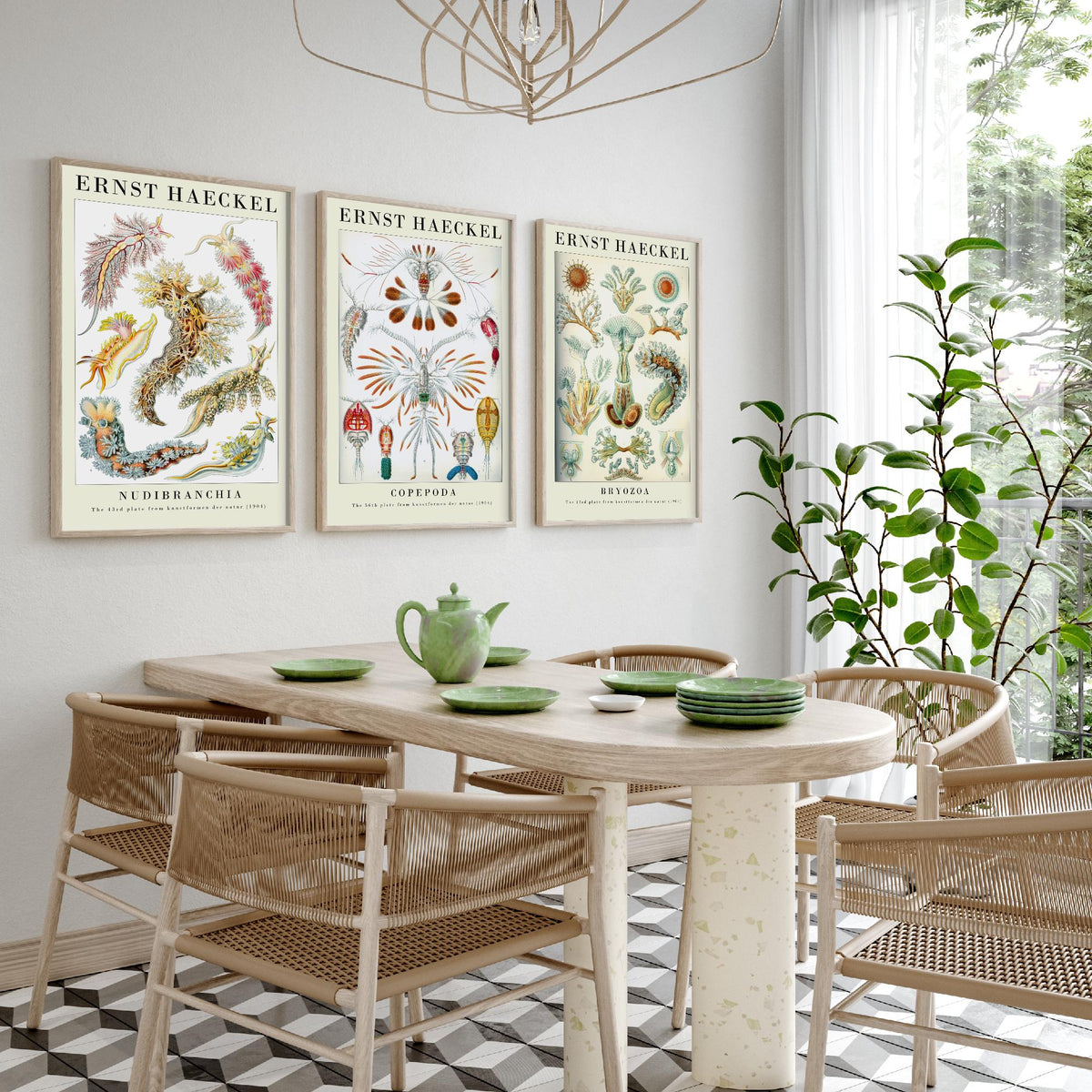 Ernst Haeckel Set of Three Gallery Art Prints - 3 Sea Slug Copepod Bryozoan Posters - Vintage Nudibranch Ocean Illustration