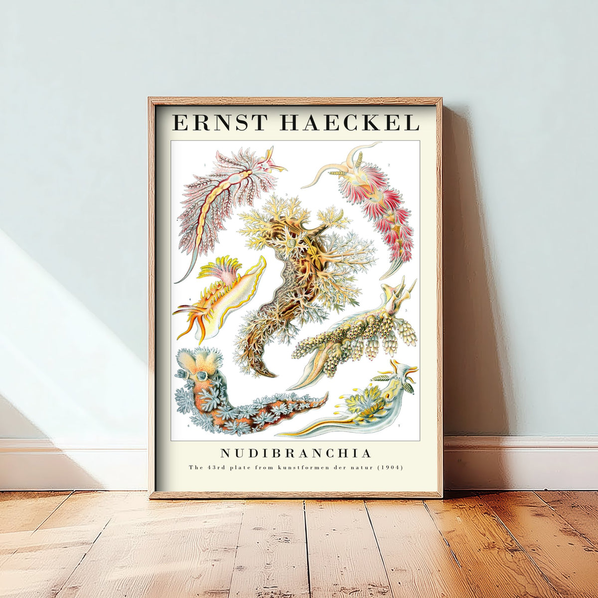 Sea Slugs Art Print - Ernst Haeckel Poster - Nudibranchia Plate 43 - Art Forms in Nature Vintage Illustration