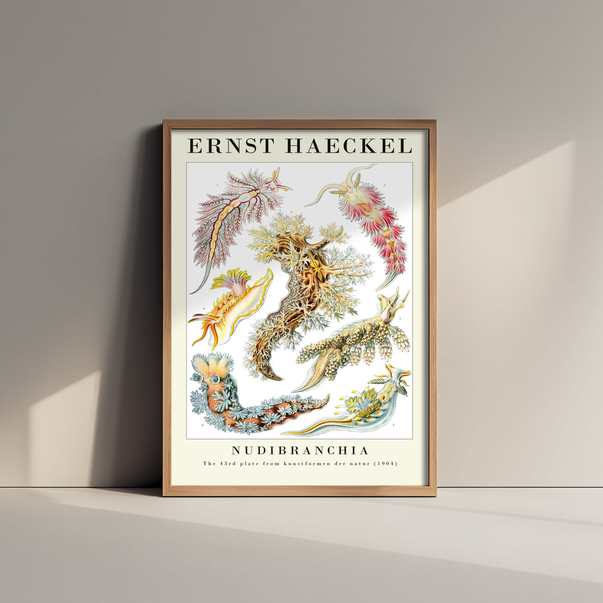 Sea Slugs Art Print - Ernst Haeckel Poster - Nudibranchia Plate 43 - Art Forms in Nature Vintage Illustration