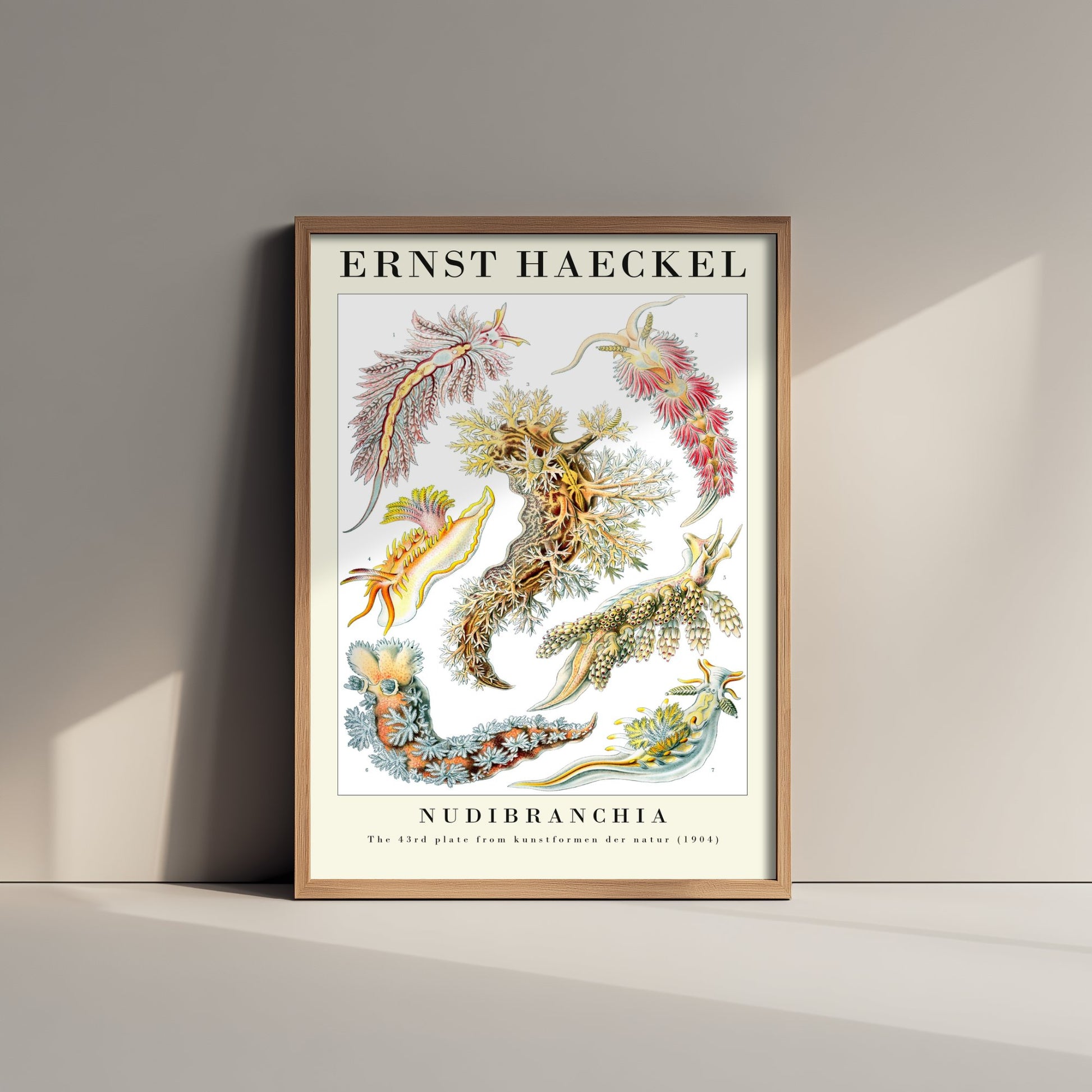 Sea Slugs Art Print - Ernst Haeckel Poster - Nudibranchia Plate 43 - Art Forms in Nature Vintage Illustration