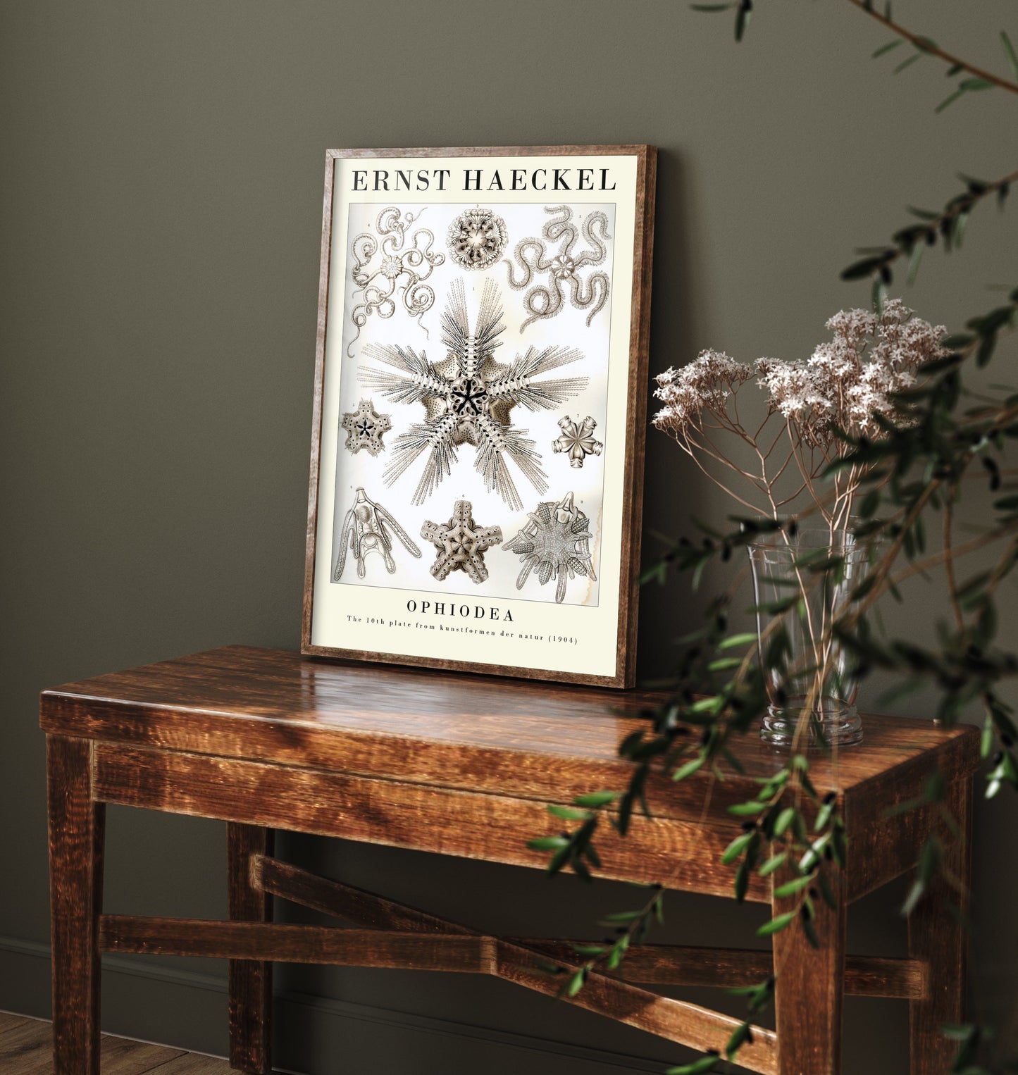 Brittle Stars Art Print - Ernst Haeckel Poster - Ophiodea Plate 10 - Art Forms in Nature Vintage Illustration