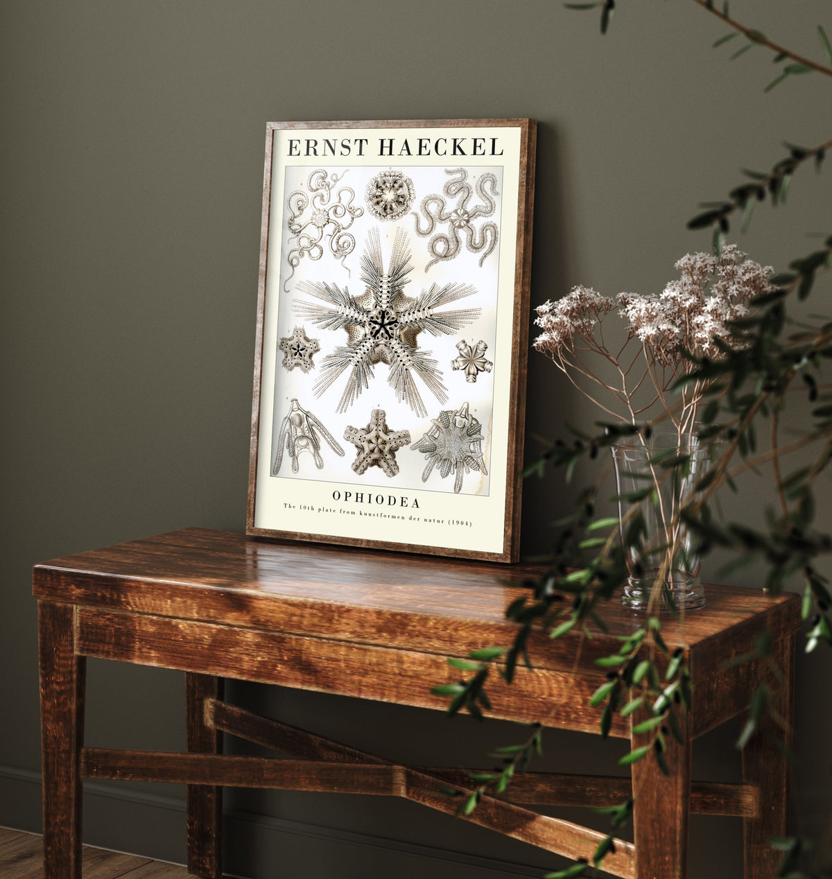 Brittle Stars Art Print - Ernst Haeckel Poster - Ophiodea Plate 10 - Art Forms in Nature Vintage Illustration