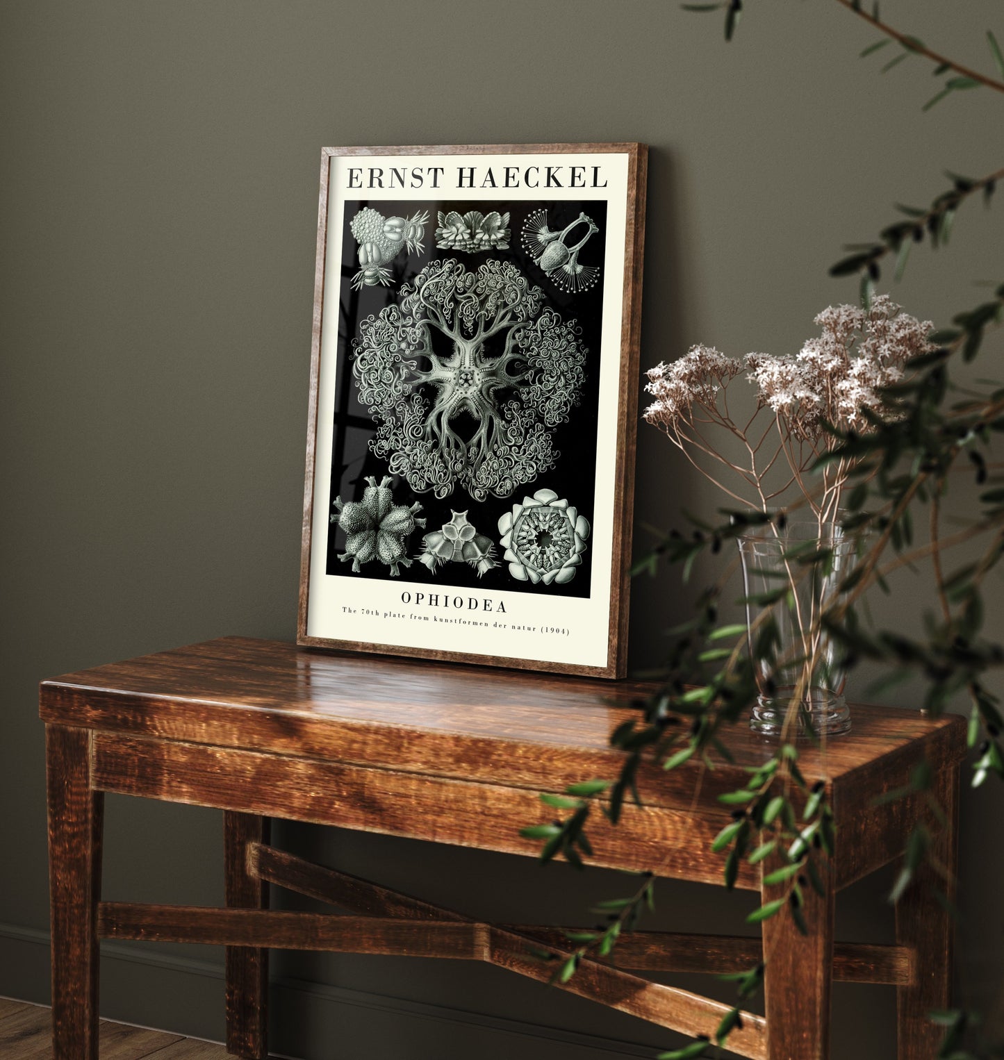 Basket Stars Art Print - Ernst Haeckel Poster - Ophiodea Plate 70 - Art Forms in Nature Vintage Illustration