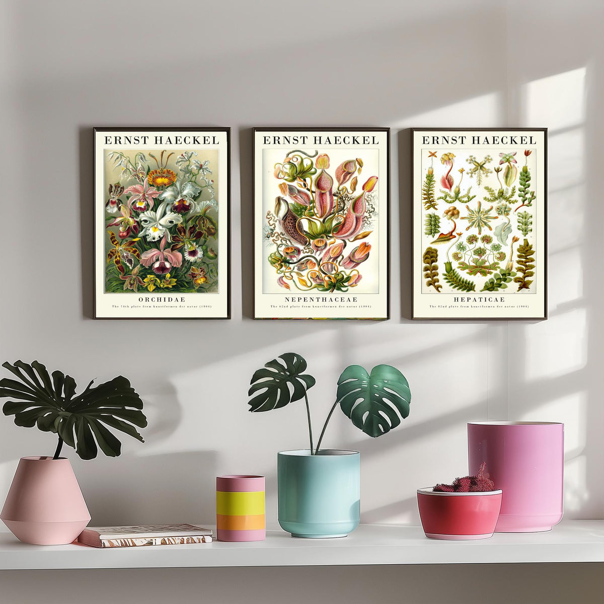 Ernst Haeckel Set of Three Gallery Art Prints - 3 Orchid Pitcher Plant Liverwort Posters - Vintage Botanical Flower Illustration
