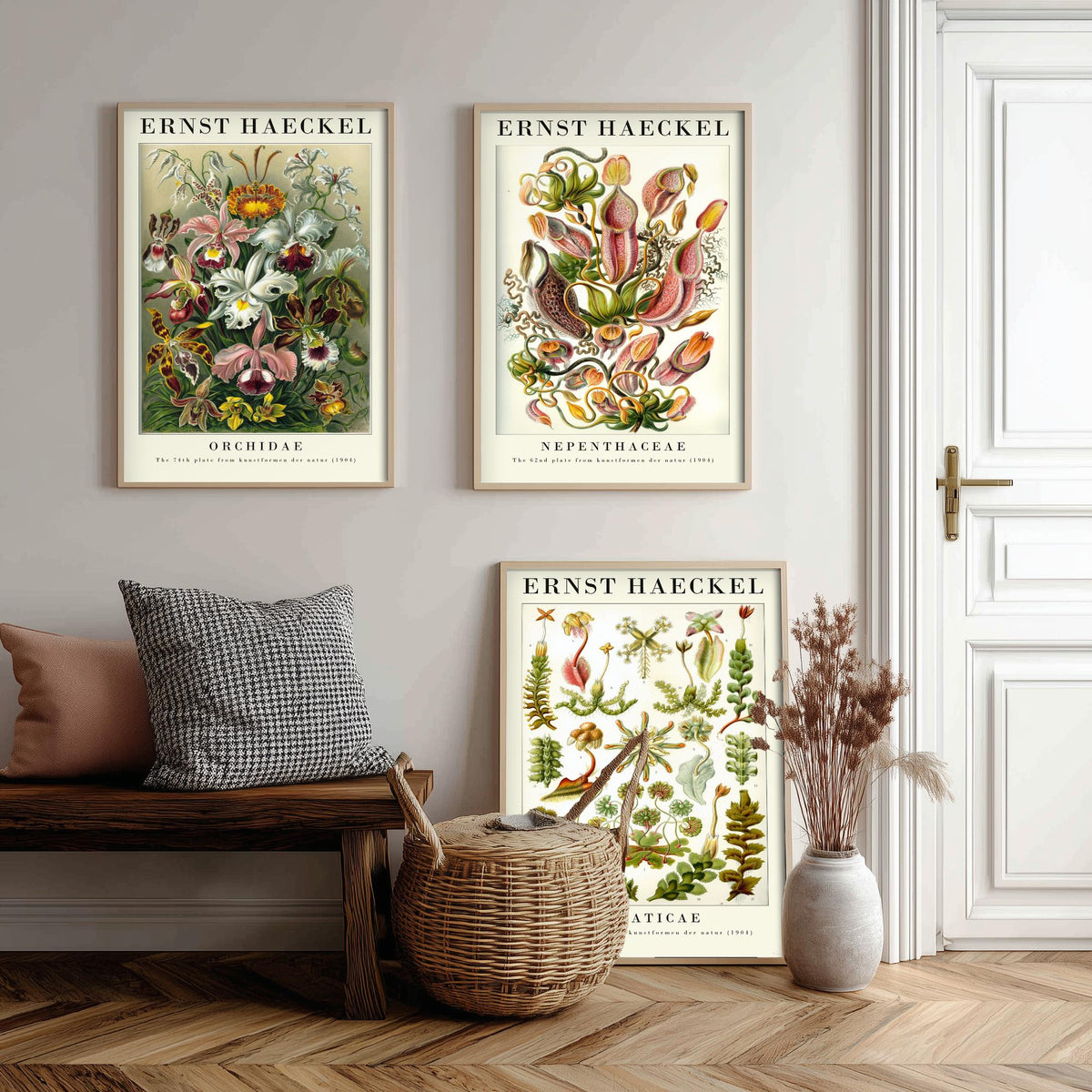 Ernst Haeckel Set of Three Gallery Art Prints - 3 Orchid Pitcher Plant Liverwort Posters - Vintage Botanical Flower Illustration